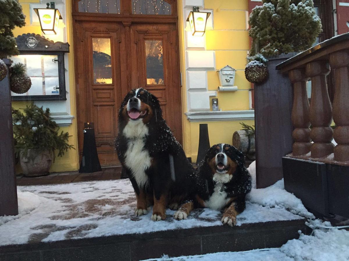 Hotel Gasthof Post Fusch an der Glocknerstraße Zewnętrze zdjęcie